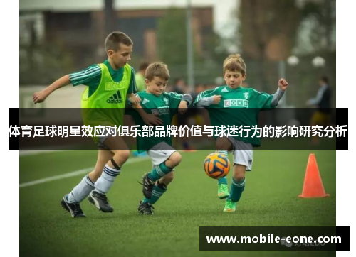 体育足球明星效应对俱乐部品牌价值与球迷行为的影响研究分析 体育足球明星效应对俱乐部品牌价值与球迷行为的影响研究分析