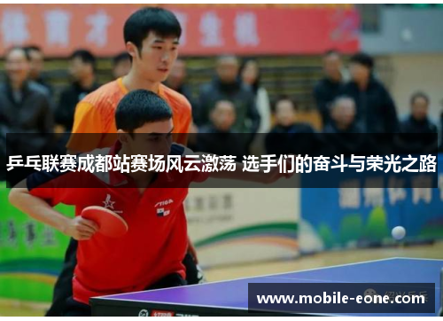 乒乓联赛成都站赛场风云激荡 选手们的奋斗与荣光之路 乒乓联赛成都站赛场风云激荡 选手们的奋斗与荣光之路