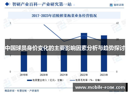 中国球员身价变化的主要影响因素分析与趋势探讨 中国球员身价变化的主要影响因素分析与趋势探讨