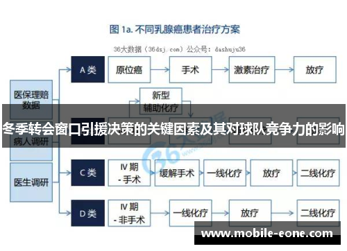 冬季转会窗口引援决策的关键因素及其对球队竞争力的影响 冬季转会窗口引援决策的关键因素及其对球队竞争力的影响