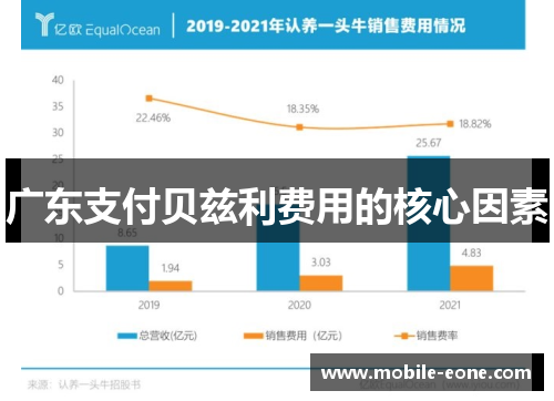 广东支付贝兹利费用的核心因素 广东支付贝兹利费用的核心因素