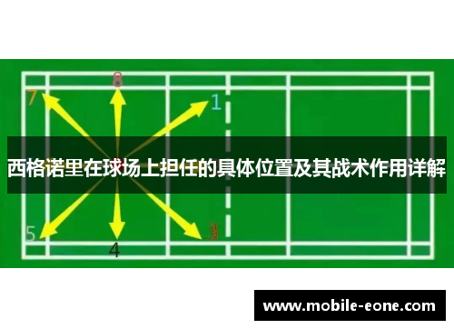 西格诺里在球场上担任的具体位置及其战术作用详解 西格诺里在球场上担任的具体位置及其战术作用详解