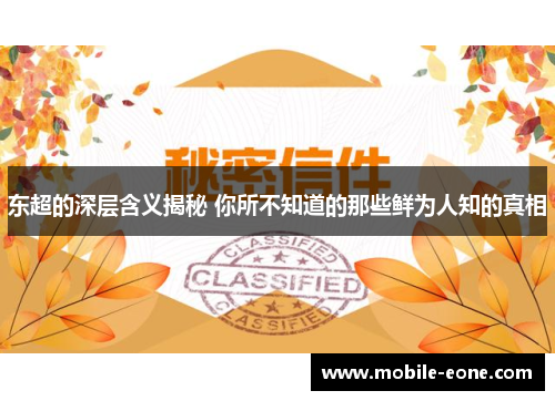 东超的深层含义揭秘 你所不知道的那些鲜为人知的真相 东超的深层含义揭秘 你所不知道的那些鲜为人知的真相