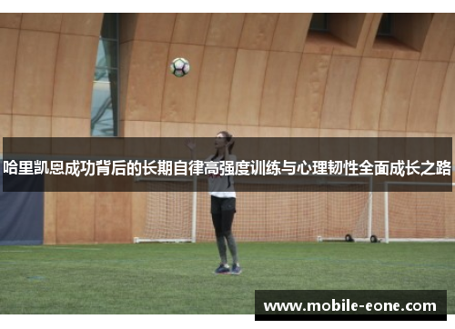 哈里凯恩成功背后的长期自律高强度训练与心理韧性全面成长之路