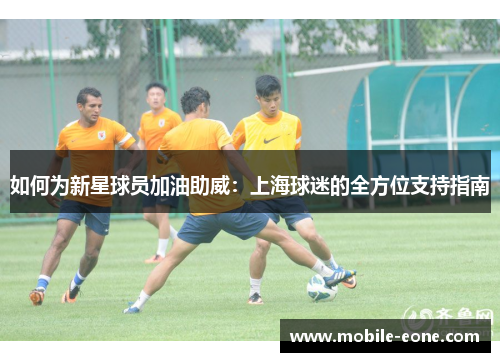 如何为新星球员加油助威：上海球迷的全方位支持指南