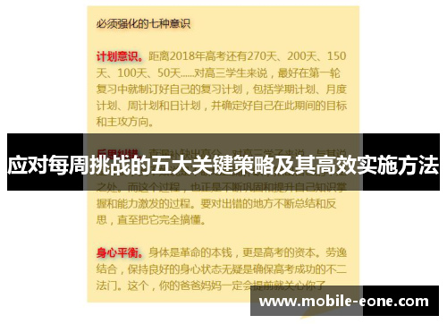 应对每周挑战的五大关键策略及其高效实施方法