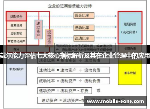 戴尔能力评估七大核心指标解析及其在企业管理中的应用 戴尔能力评估七大核心指标解析及其在企业管理中的应用
